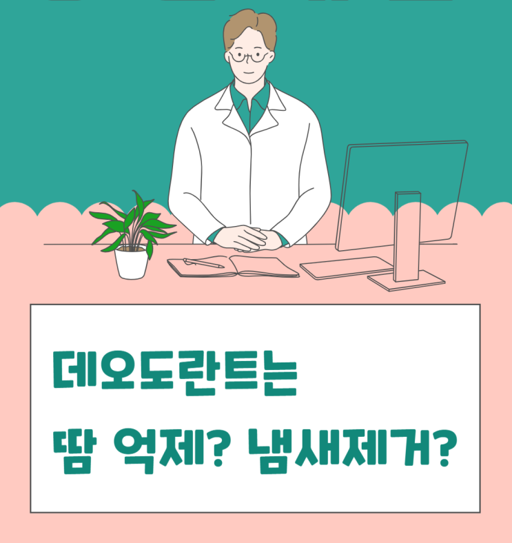  [이약사님 궁금해요] 데오드란트는 땀이 날 때 바르나요? 냄새가 날 때 바르나요?