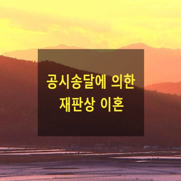  공시송달에 의한 이혼(25)