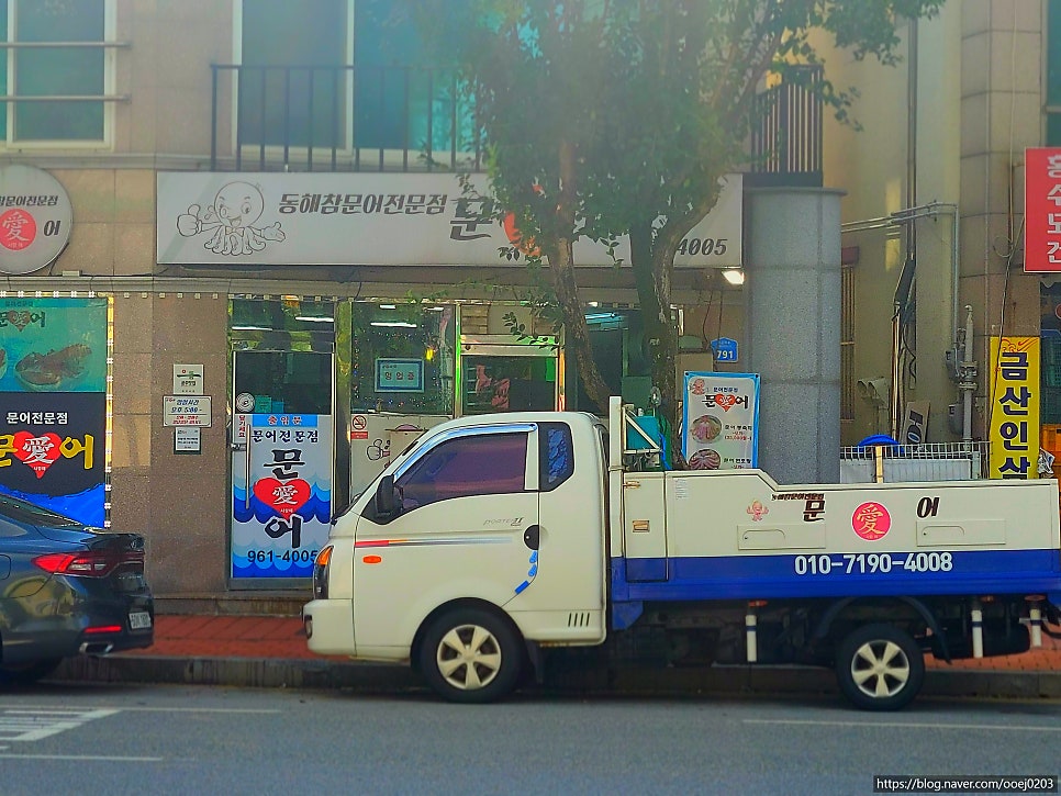 문어애 사진 1