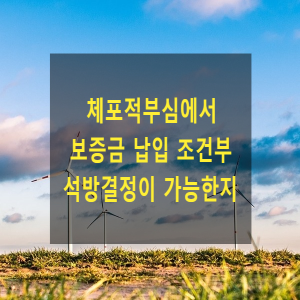 체포적부심에서 보증금 납입 조건부 석방결정이 가능한지