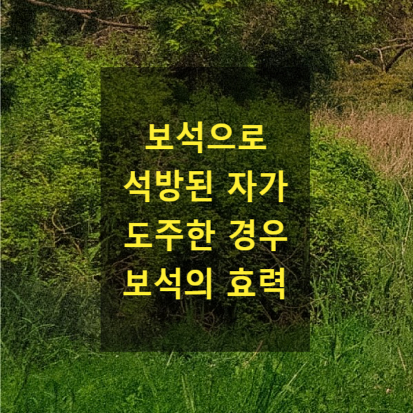  보석으로 석방된 자가 도주한 경우 보석의 효력