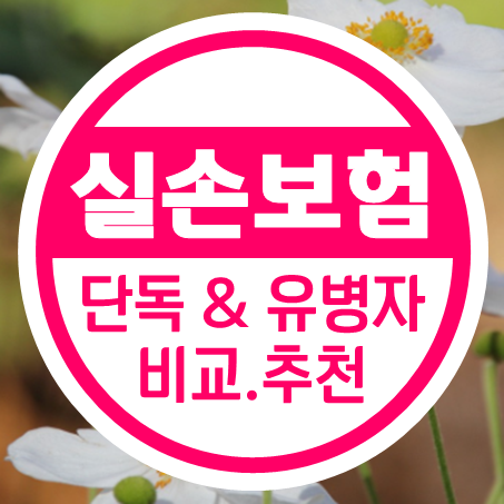  실손보험비교사이트에서 단독 및 유병자 실손의료비보험 비교와 추천을 받아보세요.
