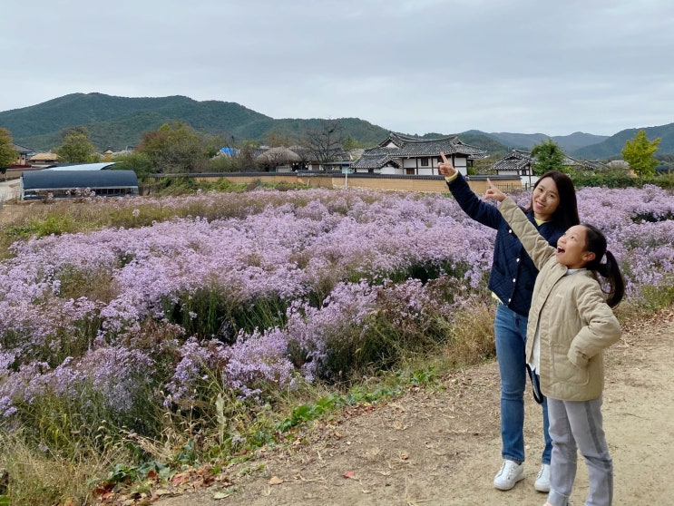 안동 가볼만한곳 안동하회마을