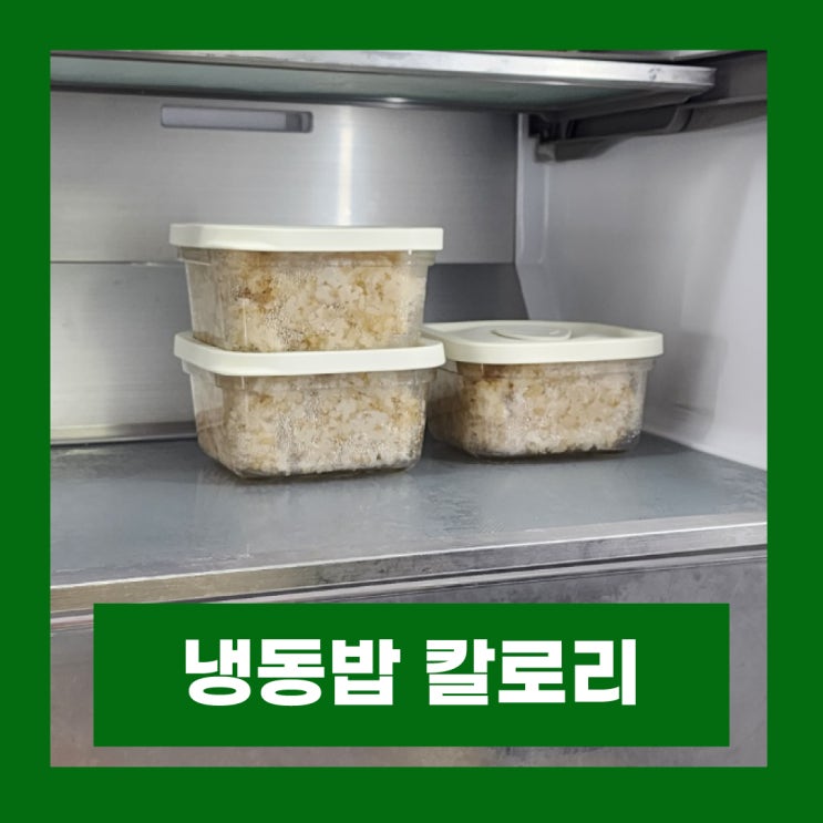  냉동밥 칼로리 저항성전분 냉장시간 중요한 이유