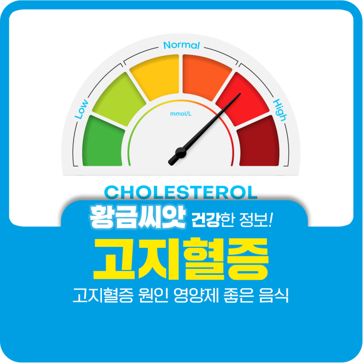  고지혈증 원인 영양제 좋은 음식