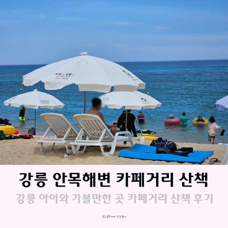 강릉 아이와 가볼만한 곳 안목해변 카페거리 산책 강릉 아이와 가볼만한 곳 안목해변 카페거리 산책