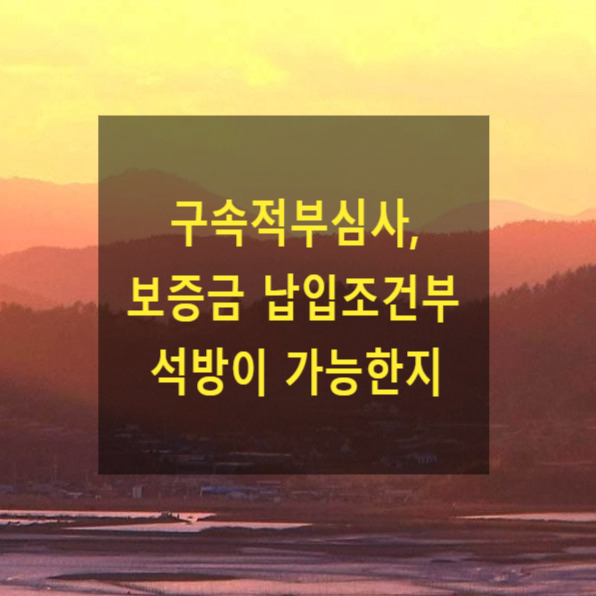  구속적부심사, 보증금 납입조건부 석방이 가능한지 여부
