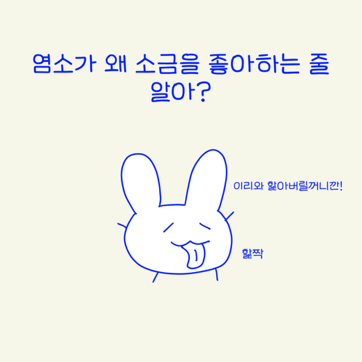 소금물의 이점과 기본원리 (소금의 중요성)