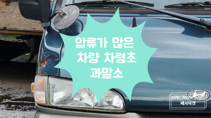  압류가 많은 차량 차령초과말소