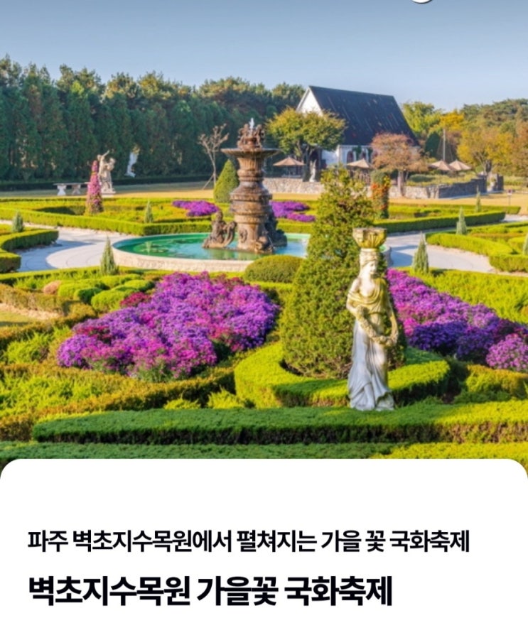 전국 꽃축제 정보! 전국 꽃축제 정보!