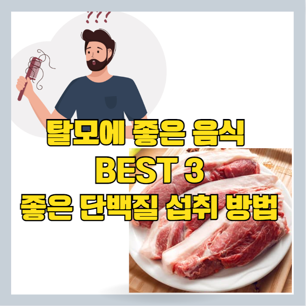  탈모 예방 및 치료에 좋은 음식 추천 BEST 3 - 동물성 단백질 vs 식물성 단백질