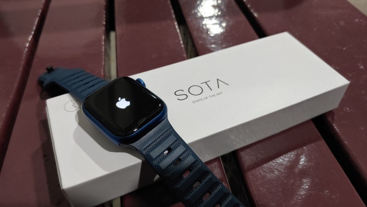 디자인 예쁜 애플워치 스트랩 SOTA FKM 러버 스포츠 밴드 솔직사용후기 디자인 예쁜 애플워치 스트랩 SOTA FKM 러버 스포츠 밴드 솔직사용후기