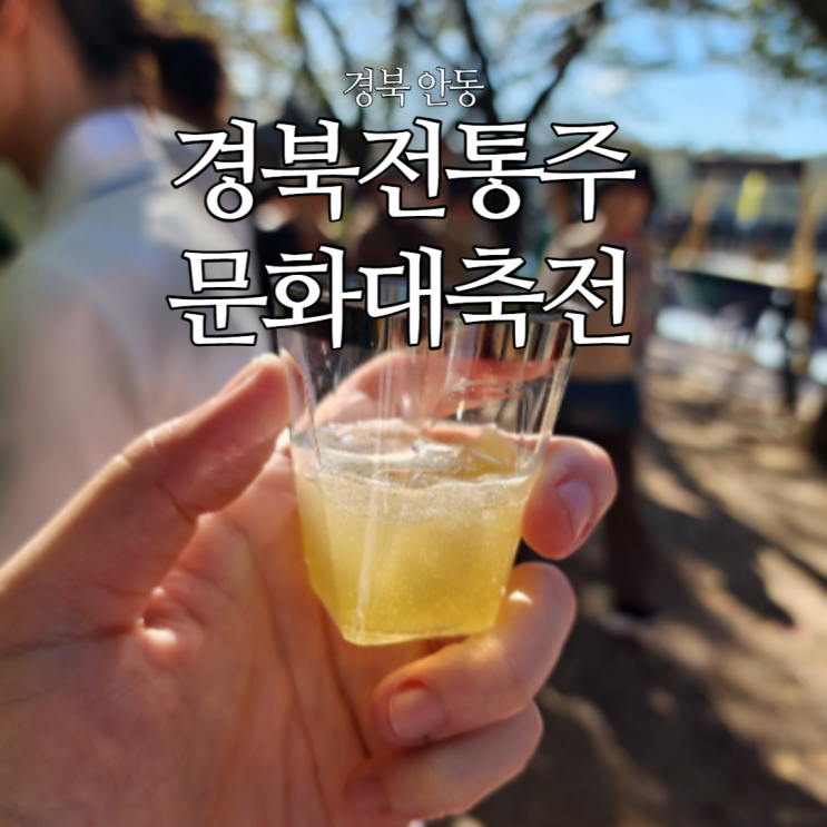  2023 경북전통주문화대축전 in 안동 술문화축제 후기 리뷰