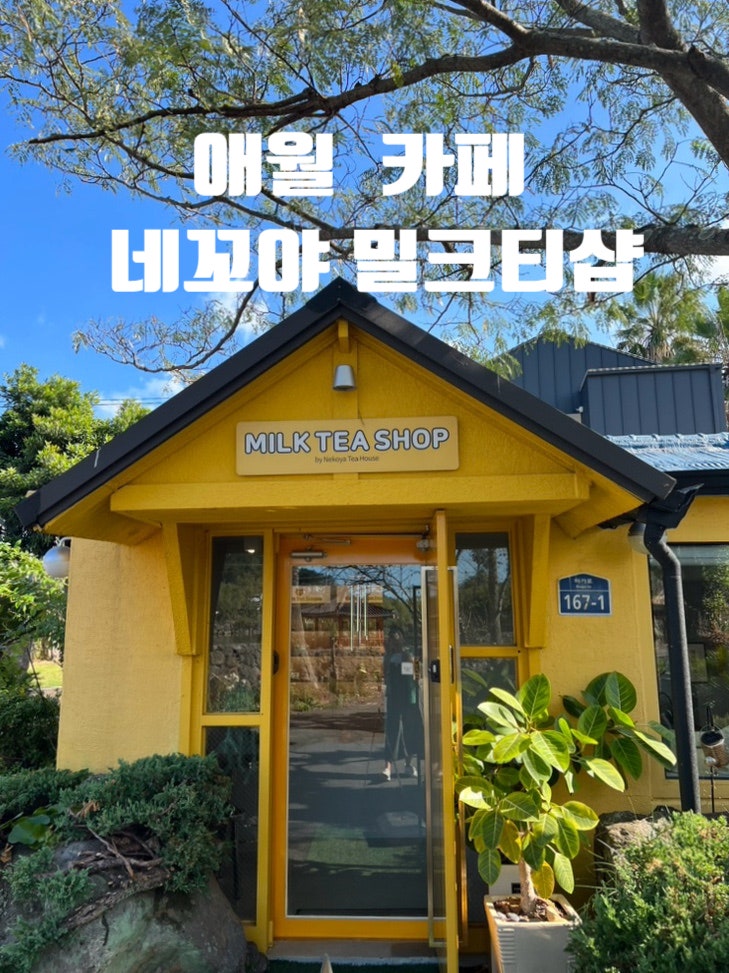  제주 카페 추천, 제주 애월 밀크티 맛집 “네꼬야 밀크티샵”