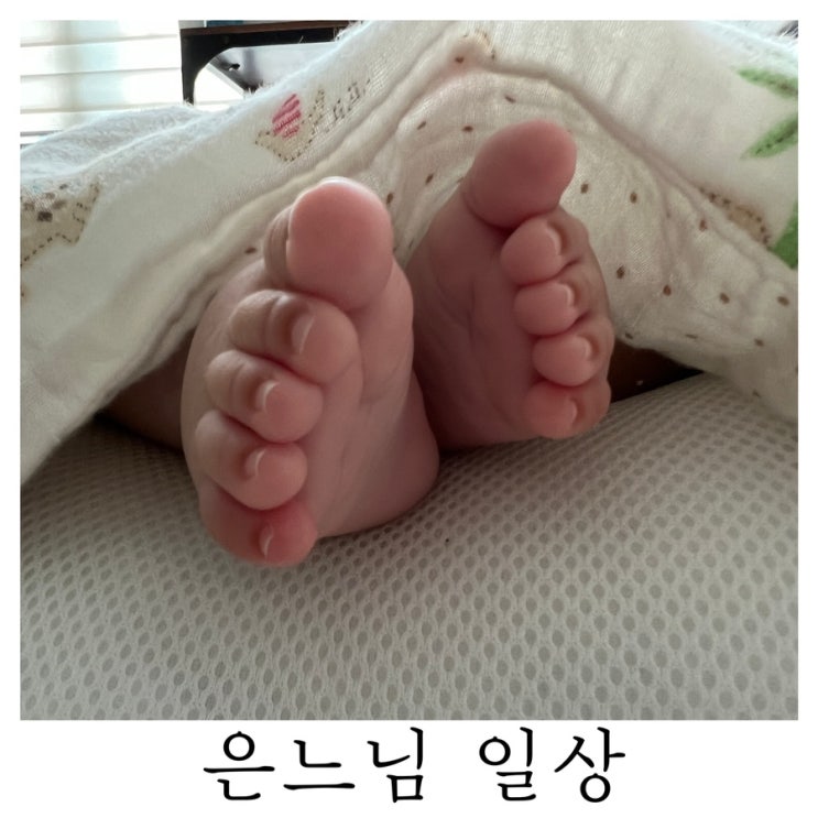  [은느님 일상]블태기 없애기 위해 끄적이는 일상 포스팅 : )