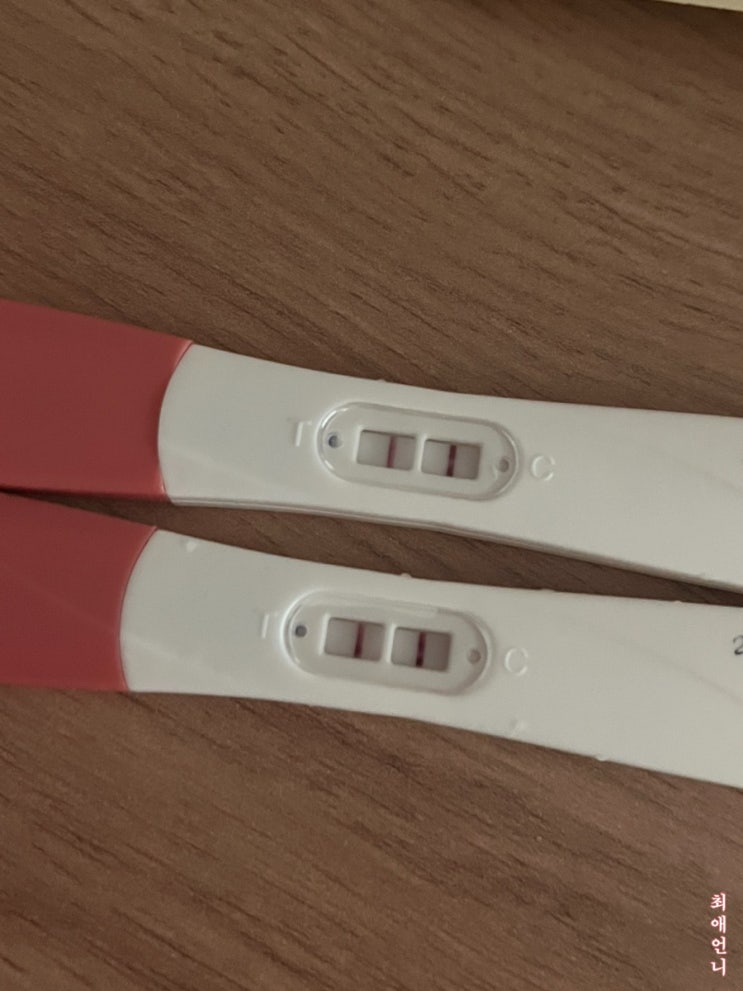  임신기록