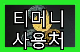 티머니 사용처