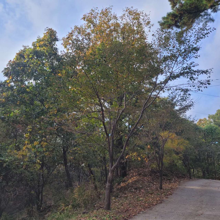 중국 <b>리창</b> 총리, 제22차 상하이 <b>협력</b>기구(SCO) 참석