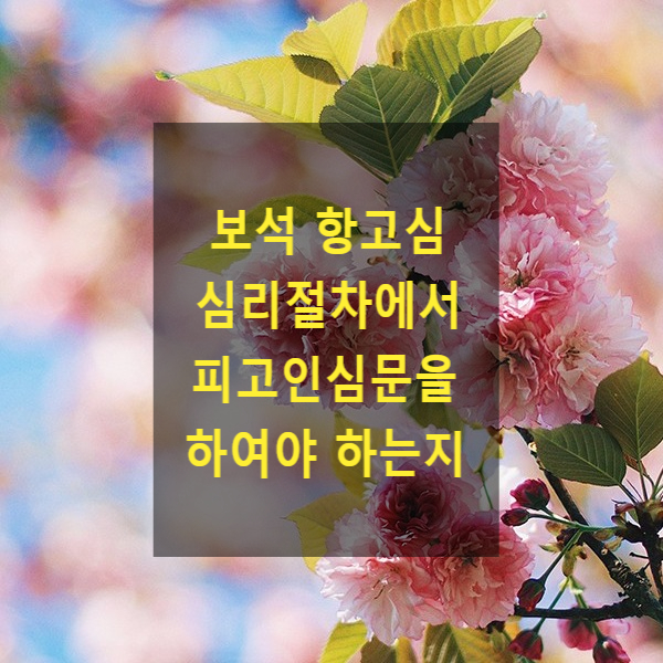  보석 항고심 심리절차에서 반드시 피고인심문을 하여야 하는지