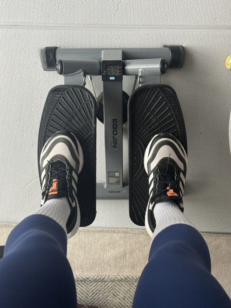 DietFit log 44일~46일 : 이번주도 열심히 다이어트 일기