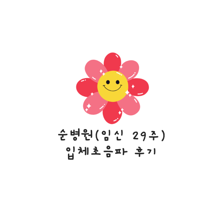  순병원 입체초음파 비용 및 후기(임신 29주)