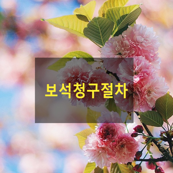  보석청구절차(구속·기소된 피고인 석방)
