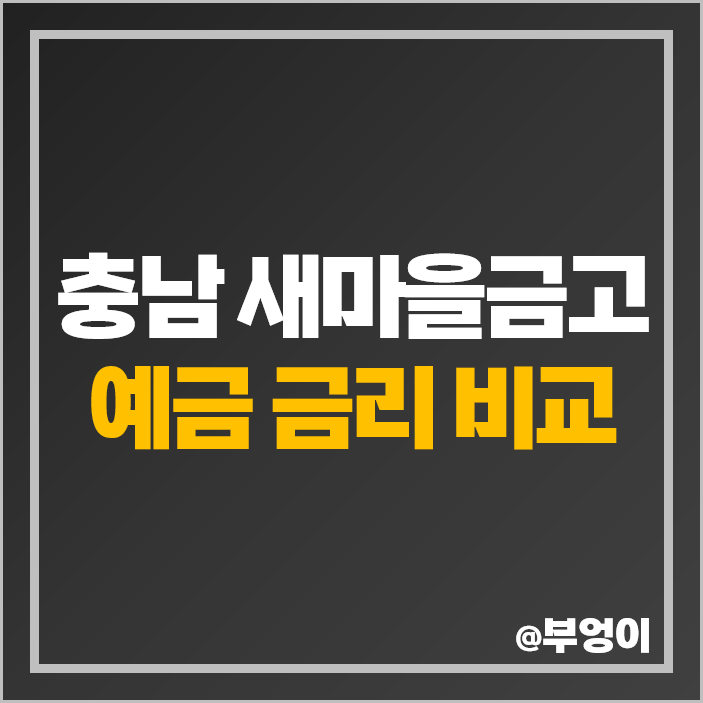 충남 새마을금고 정기예금 금리 비교 서천 예산 천안 청양 태안 특판 추천 충남 새마을금고 정기예금 금리 비교 서천 예산 천안 청양 태안 특판 추천