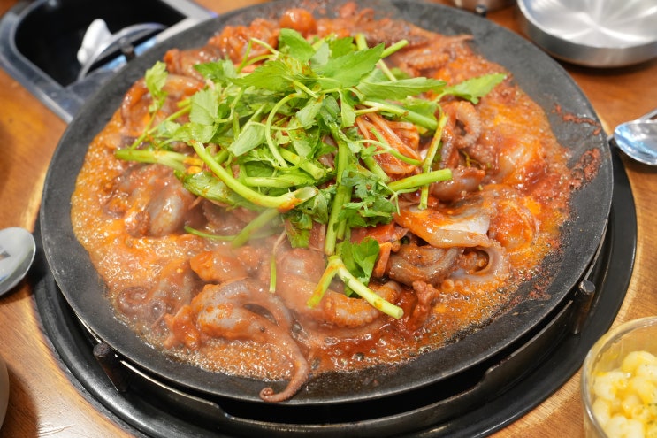  매콤한 쭈꾸미볶음 미사맛집 쭈꾸미도사미사강변점