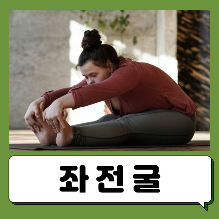  좌전굴 잘하는법 정의