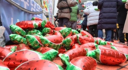 개딸들, <b>이재명</b> '<b>통합</b>' 당부에도 "우리가 손 쓰면 돼"