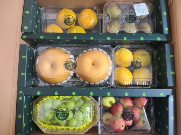  [과일구독]내돈내산 10월 농협과일맛선 솔직후기, 1~2인가구 과일 추천