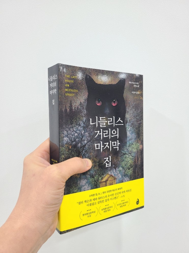  스티븐 킹이 극찬한 공포소설 니들리스 거리의 마지막 집