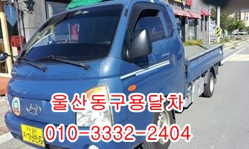 울산동구용달 방어진 제주도 양남 양북 울릉도 감포. 울산동구용달 방어진 제주도 양남 양북 울릉도 감포.