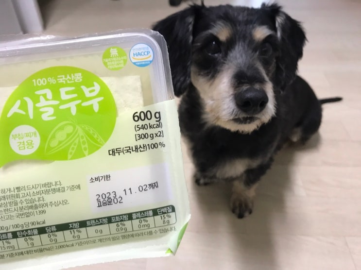  강아지 두부 먹여도 되나요 ? 노견 급여량 및 주의사항