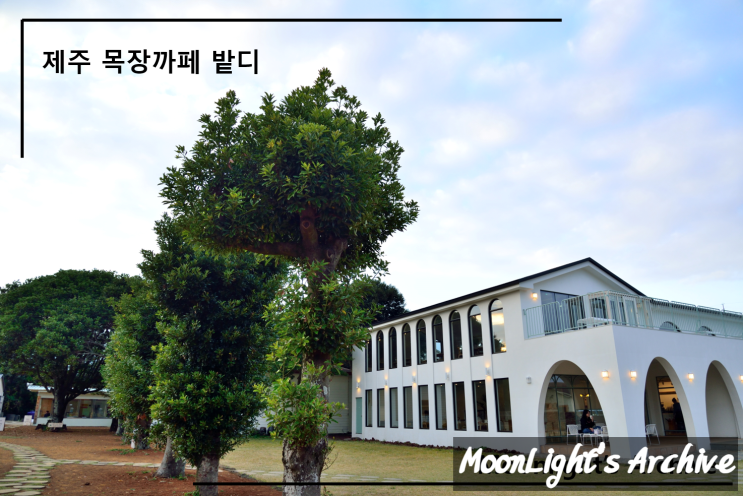  제주 목장까페 밭디