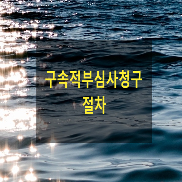  구속적부심사청구 절차(구속된 피의자 석방)