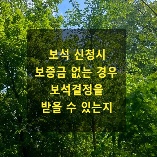  보석 신청시 보증금 없는 경우 보석결정을 받을 수 있는지