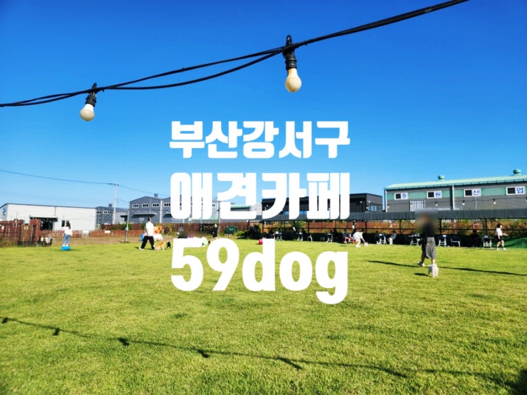  (부산 강서구) 배달음식 가능한 애견카페 추천 :: 59dog