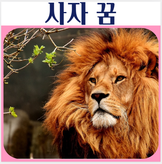  사자가 집에 들어가는 꿈, 흰사자 관련 꿈해몽