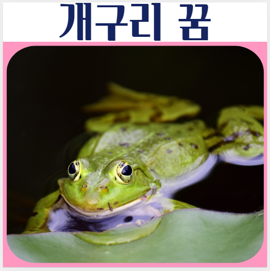  개구리 관련 꿈해몽, 개구리 먹는꿈, 다친 개구리꿈