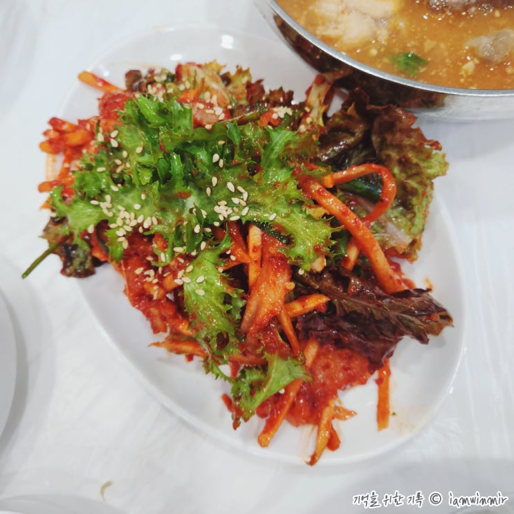 여수 이순신광장 혼밥 가능한 아귀탕 맛집 복춘식당 여수 이순신광장 혼밥 가능한 아귀탕 맛집 복춘식당