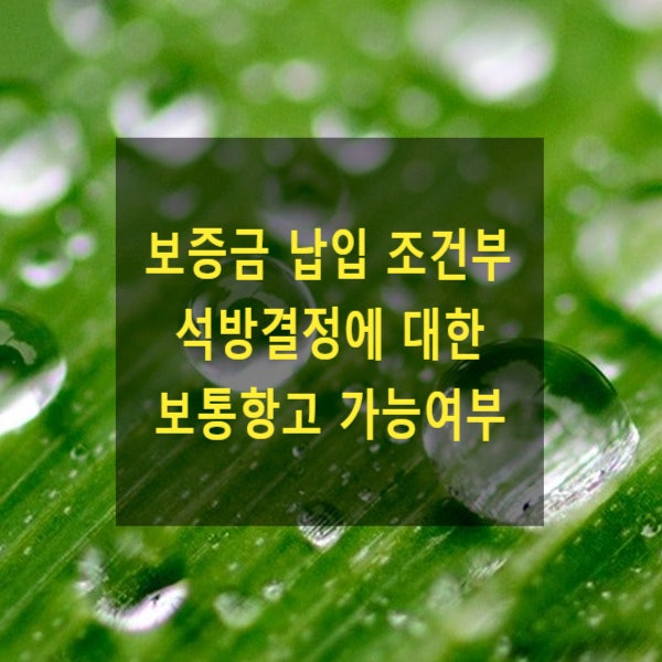  보증금 납입 조건부 석방결정에 대한 보통항고 가능여부