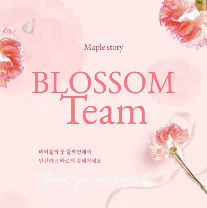  [블라썸팀] 메이플 대리 육성 재획 전문 국내 No.1업체