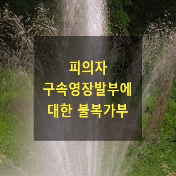  피의자 구속영장발부에 대한 불복가부(구속적부심사)