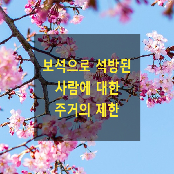  보석으로 석방된 자에 대한 주거의 제한