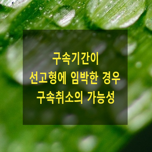  구속기간이 선고형에 임박한 경우 구속취소의 가능성
