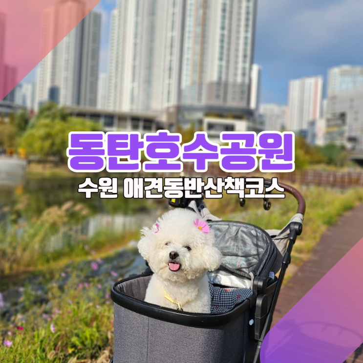  동탄호수공원 애견동반 산책코스 총정리 [주차꿀팁부터 식당까지]