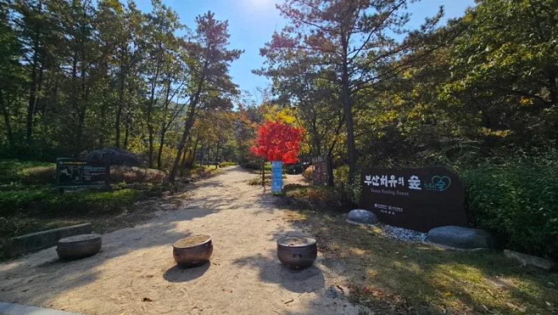 부산 기장 치유의 숲(철마, 장안) 힐링 산책로