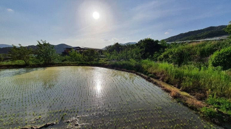 조상골 사진 5