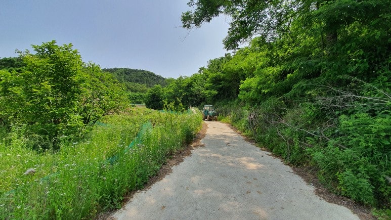 비취골 사진 4